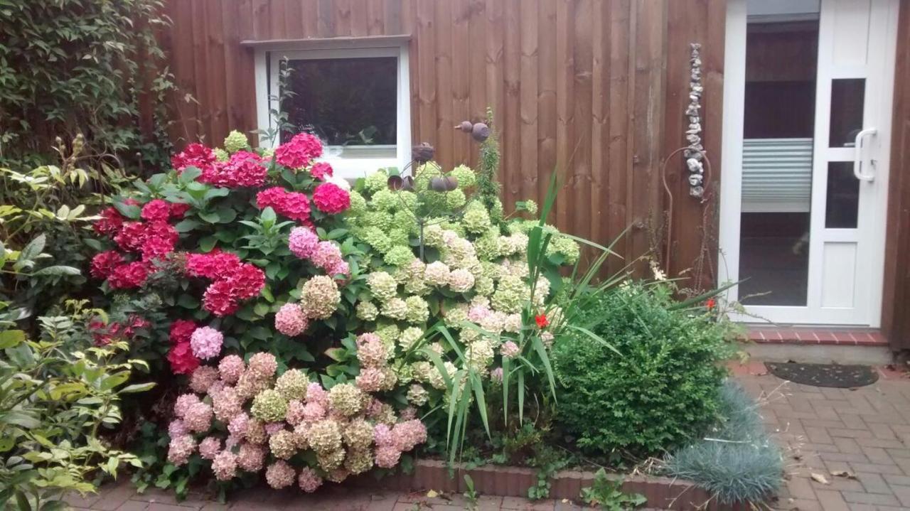1 Raum Appartement Mit Kuechenzeile In Kappeln Eksteriør bilde